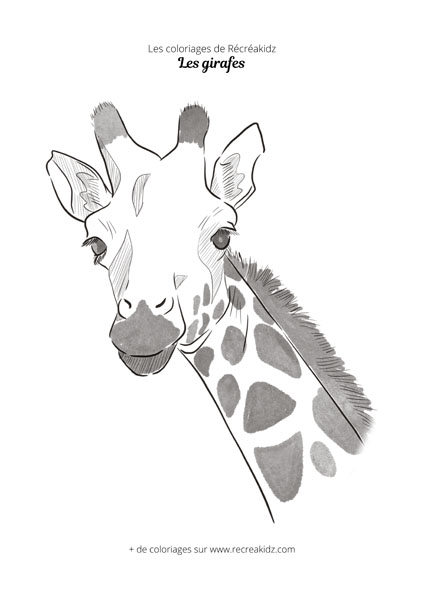 Coloriage tête de girafe  Dessin à colorier & imprimer en PDF