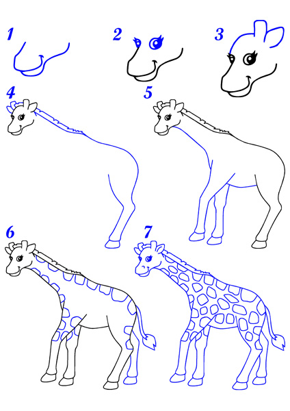 Comment dessiner une girafe ? Dessin girafe facile par étapes