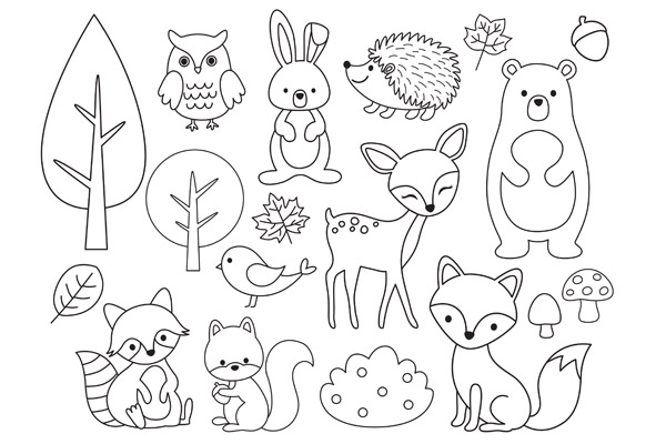 Apprendre à dessiner les animaux de la forêt
