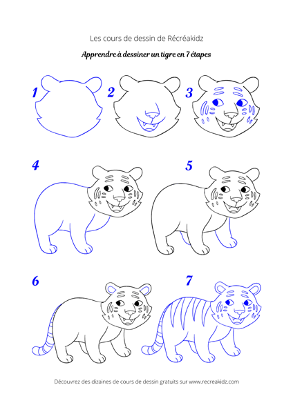 Apprendre a dessiner un tigre blanc etape par etape 