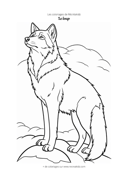 Coloriage loup noir et blanc | Dessin à colorier & imprimer en PDF