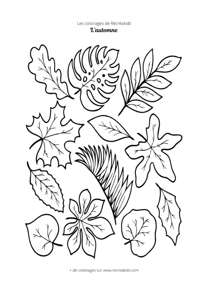 Coloriage feuille d'automne facile  Dessin à colorier & imprimer en PDF