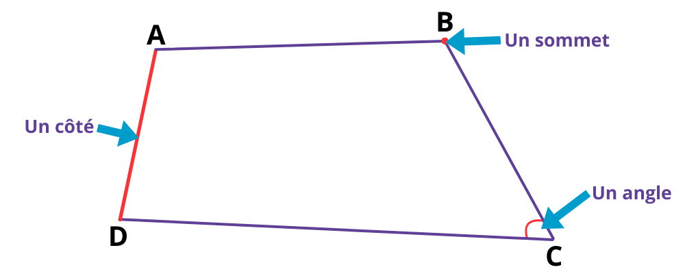 Les quadrilatères CE1 - CE2 - CM1 - CM2 | Leçon & exercices à imprimer ...